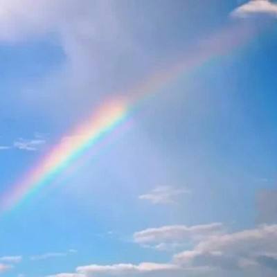 狗万官网下载手机版