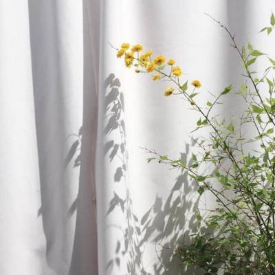 澳门一码一肖一特一中app下载