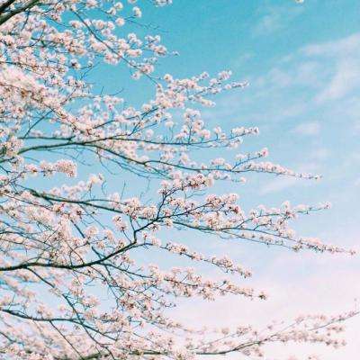 乐鱼官网手机版app下载